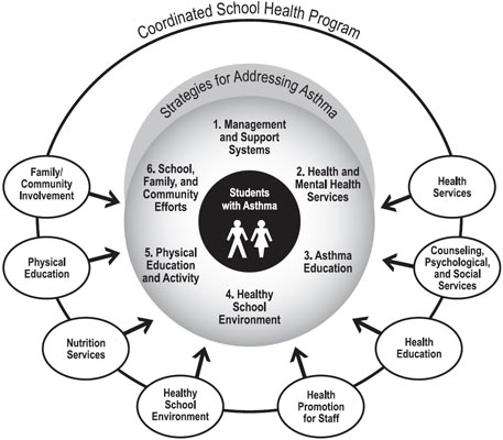 Asthma and School